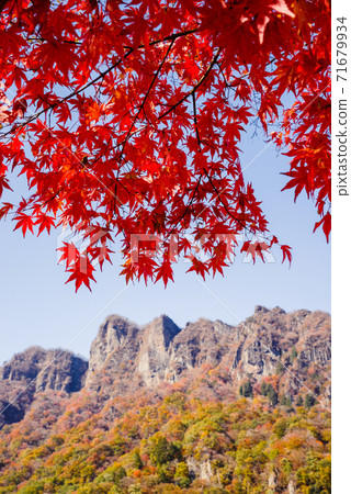 [群馬縣]取材於妙木山/妙木山全景公園，有秋葉<卡米格山山> 71679934