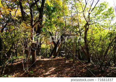 Mashiko Amamakiyama Observatory Mashiko Amamakiyama Observatory 71681837