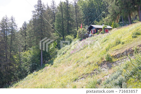 Cabin in Switzerland Cabin in Switzerland 71683857