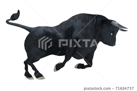 Black bull isolated on white background 3d illustration 71684737