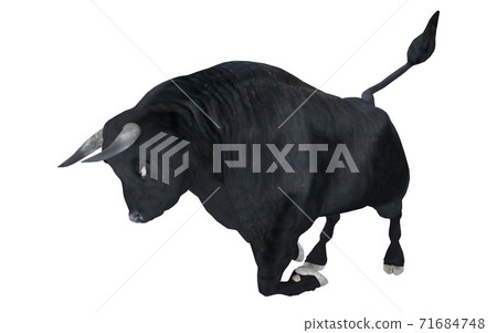 Black bull isolated on white background 3d illustration 71684748