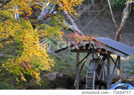 Autumn leaves and water mills Autumn leaves and water mills 71684757