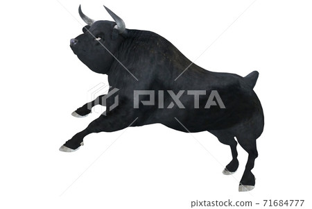 Black bull isolated on white background 3d illustration 71684777