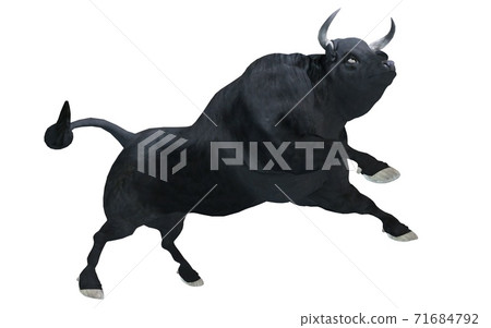 Black bull isolated on white background 3d illustration Black bull isolated on white background 3d illustration 71684792