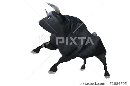 Black bull isolated on white background 3d illustration 71684795