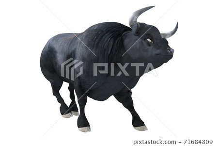 Black bull isolated on white background 3d illustration 71684809