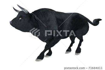 Black bull isolated on white background 3d illustration 71684811