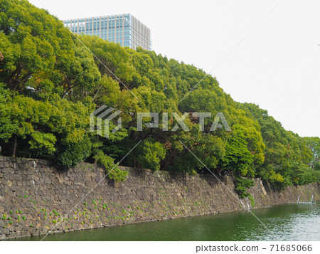 Ishigaki of Edo castle Ishigaki of Edo castle 71685066