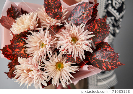 Mono bouquet of chrysanthemum in womans hands. European floral shop. the work of the florist at a flower shop. Delivery fresh cut flower. 71685138