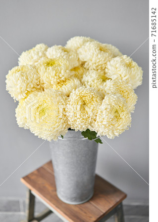 Mono bouquet of chrysanthemum in metal vase. European floral shop. the work of the florist at a flower shop. Delivery fresh cut flower. Mono bouquet of chrysanthemum in metal vase. European floral shop. the work of the florist at a flower shop. Delivery fresh cut flower. 71685142