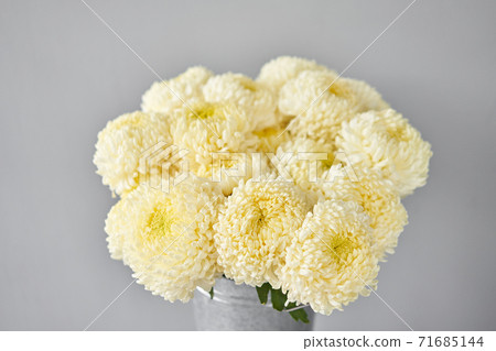 Mono bouquet of chrysanthemum in metal vase. European floral shop. the work of the florist at a flower shop. Delivery fresh cut flower. Mono bouquet of chrysanthemum in metal vase. European floral shop. the work of the florist at a flower shop. Delivery fresh cut flower. 71685144