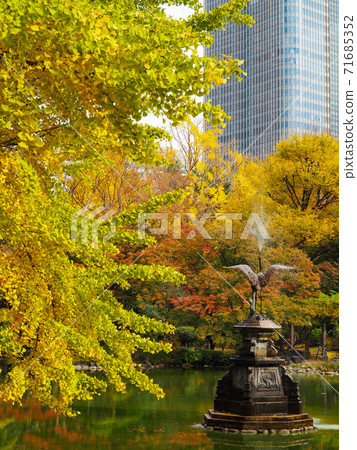 黃葉在日比谷公園 71685352