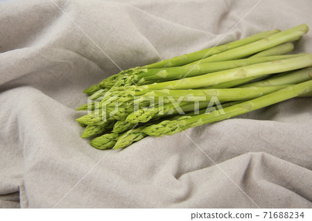 Close up of fresh green asparagus 122 Close up of fresh green asparagus 122 71688234