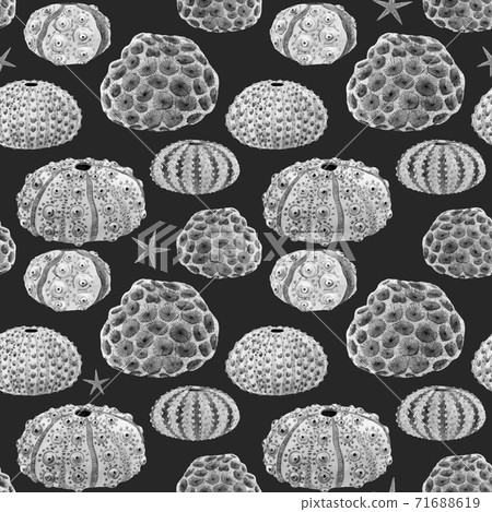Beautiful vector seamless underwater pattern with watercolor sea urchin. Stock illustration. Beautiful vector seamless underwater pattern with watercolor sea urchin. Stock illustration. 71688619