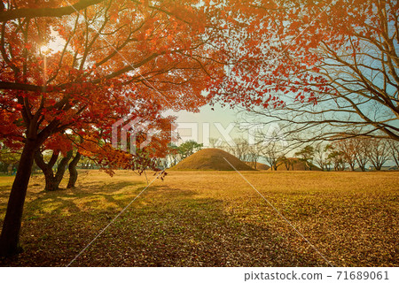韓國的秋天風景。慶州市陽光，樹木和樹葉 71689061