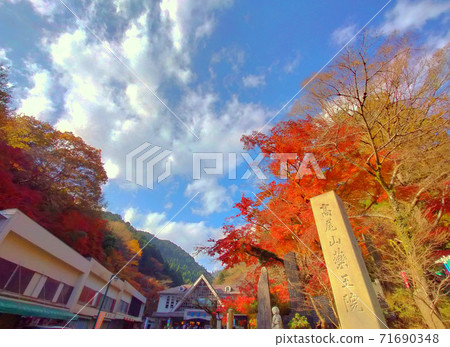 秋天的高尾山（在清y站前）秋葉 71690348