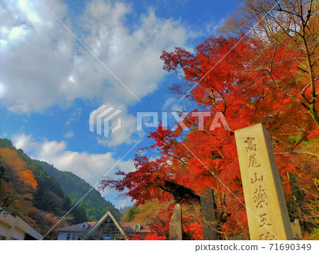 秋天的高尾山（在清y站前）秋葉 71690349