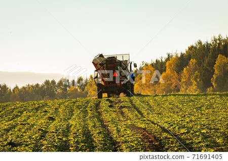 Hokkaido Biei Hill and Farmer's Autumn October 71691405