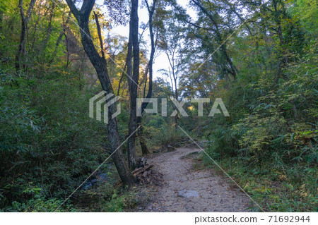 Mountain trail of Kurondo Garden (Osaka Prefectural Forest Kurondo Garden) Mountain trail of Kurondo Garden (Osaka Prefectural Forest Kurondo Garden) 71692944