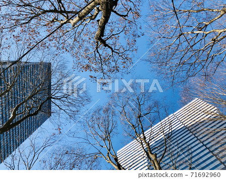 冬天的天空 71692960