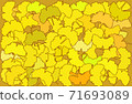 Ginkgo fallen leaves 71693089