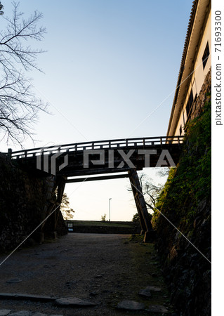 [滋賀縣]彥根城秋天 71693300