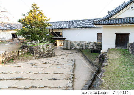 [Shiga Prefecture] Hikone Castle Autumn 71693344