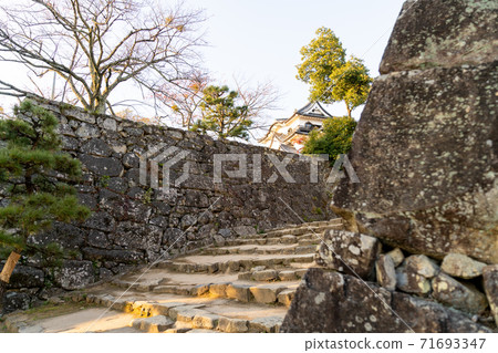[滋賀縣]彥根城秋天 71693347