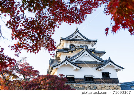 [滋賀縣]彥根城秋天 71693367