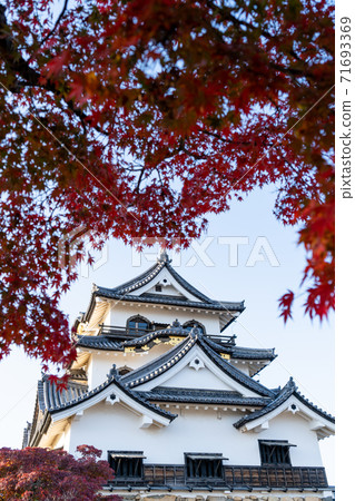 [Shiga Prefecture] Hikone Castle Autumn 71693369