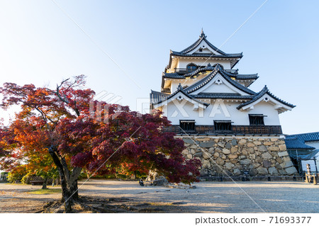 [滋賀縣]彥根城秋天 71693377