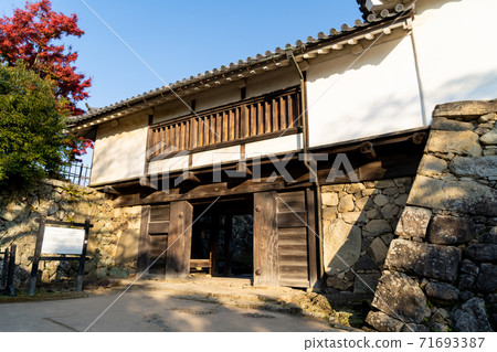 [Shiga Prefecture] Hikone Castle Autumn 71693387