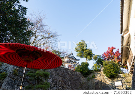 [Shiga Prefecture] Hikone Castle Autumn 71693392