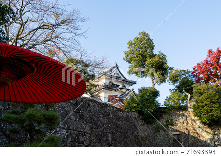 [Shiga Prefecture] Hikone Castle Autumn 71693393