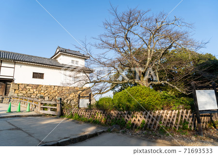 [Shiga Prefecture] Hikone Castle Autumn 71693533