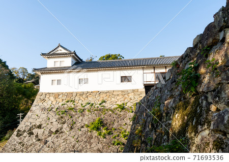 [Shiga Prefecture] Hikone Castle Autumn 71693536