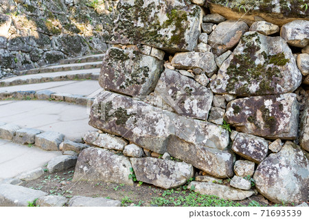 [Shiga Prefecture] Hikone Castle Autumn 71693539