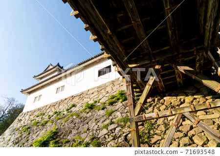 [Shiga Prefecture] Hikone Castle Autumn 71693548
