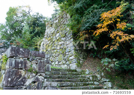 [滋賀縣]彥根城秋天 71693559