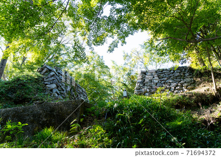 [靜岡縣] Futamata城堡廢墟鳥山城堡廢墟 71694372