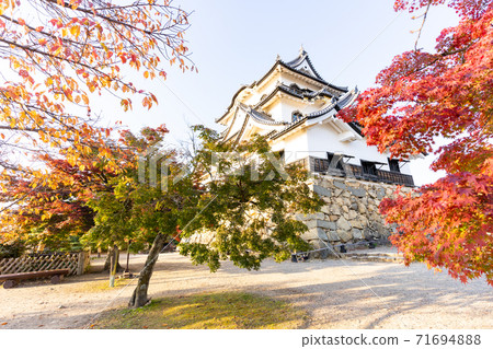 [Shiga Prefecture] Hikone Castle Autumn 71694888