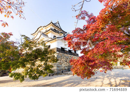 [Shiga Prefecture] Hikone Castle Autumn 71694889