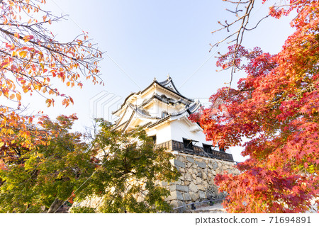 [Shiga Prefecture] Hikone Castle Autumn 71694891