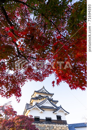 [滋賀縣]彥根城秋天 71694893