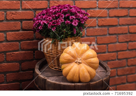 Autumn decor with pumpkin and flowers on old wooden barrel. Harvest and garden outdoor decorations for Halloween, Thanksgiving, autumn season still life. Fall styled composition. 71695392