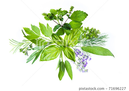 Finding beauty in simple, at glance, natural things Finding beauty in simple, at glance, natural things 71696227