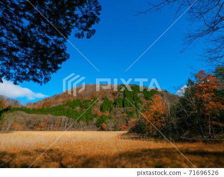 Yoshinuma and Shinyu Fuji in late autumn (Okushiobara, Tochigi Prefecture) 71696526