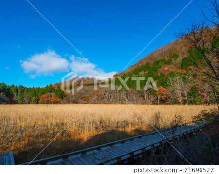 Yoshinuma and Shinyu Fuji in late autumn (Okushiobara, Tochigi Prefecture) 71696527