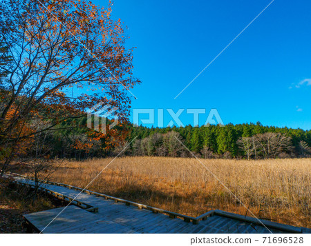 深秋的吉沼((木縣奧庫鹽原市) 深秋的吉沼((木縣奧庫鹽原市) 71696528