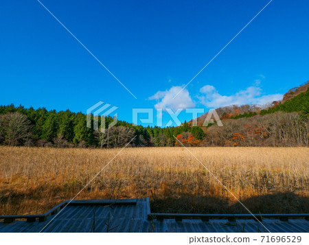 Yoshinuma in late autumn (Okushiobara, Tochigi Prefecture) Yoshinuma in late autumn (Okushiobara, Tochigi Prefecture) 71696529